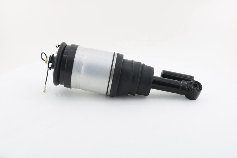 后减振器 6160801